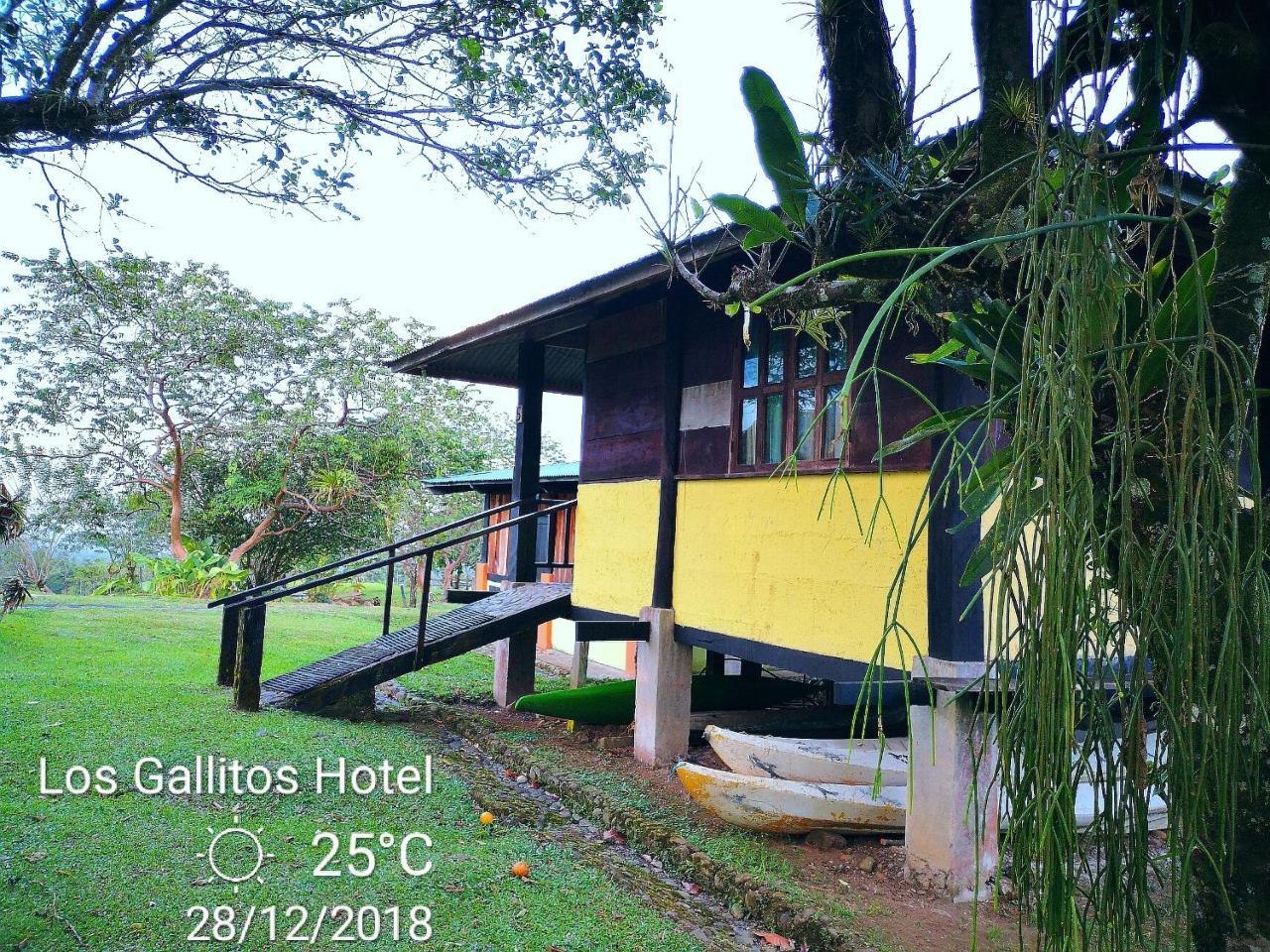 Los Gallitos Eco Lodge San Miguel  Exterior foto